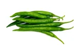 Green Chilli 500 gm 2