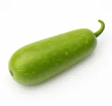 Bottle Gourd 1pcs 1