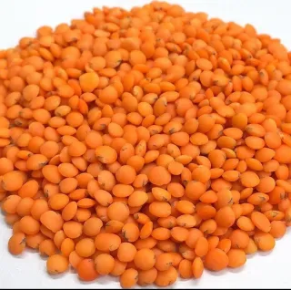 Masoor Dal 500 gm