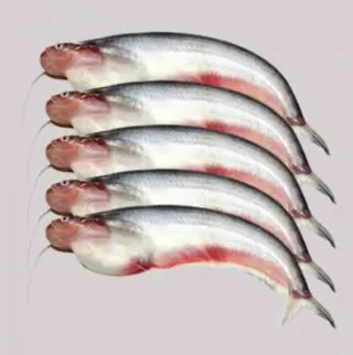 Pabda Fish 1kg