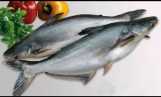 Pangasius Fish 1kg