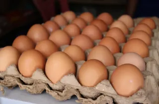 Layer Chicken Eggs 4 pcs