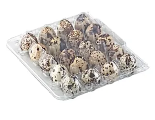 Quail Eggs 20pcs