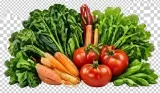 Fresh Vegetable Market