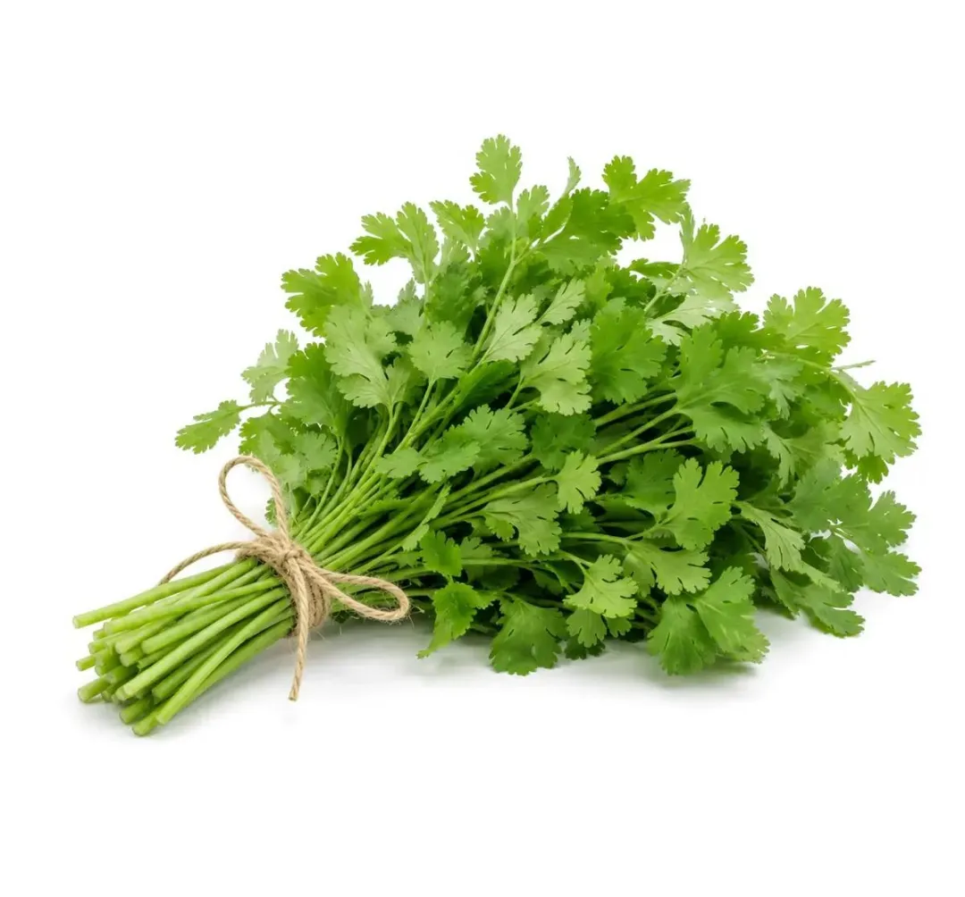 Coriander Leaves 100 gm