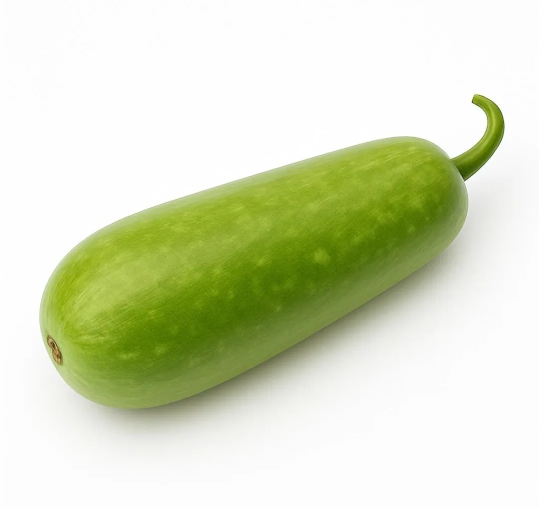Bottle Gourd 1pcs