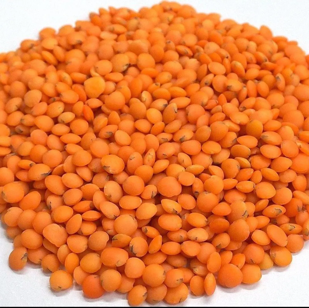 Masoor Dal 500 gm